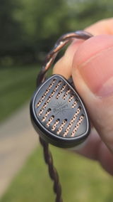 Daric Gray review photo