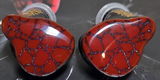 Daric G. review photo