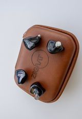 Electro Audio World review photo