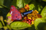 Alta In-Fidelidad review photo