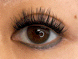 Toni T. review photo
