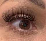Suzanne S. review photo