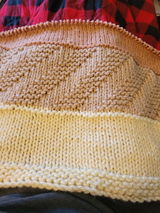 Andrea Williams review photo