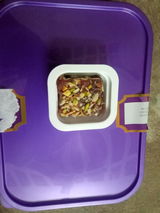 Anonymous review photo