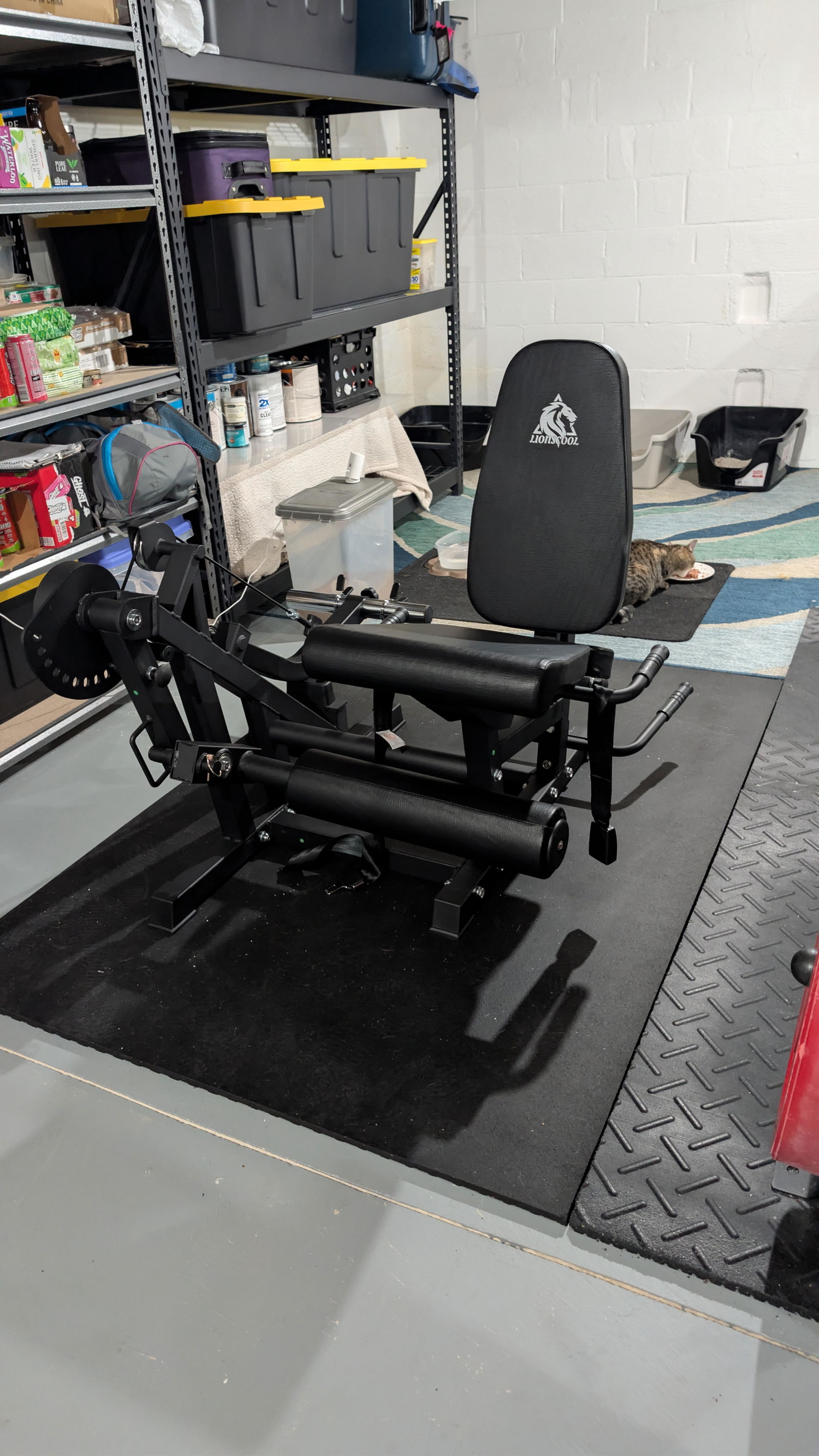 LIONSCOOL Leg Extension and Curl Machine V4.0, Adjustable Seated