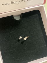 Prinsha review photo