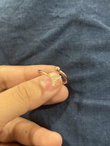 Nisha review photo