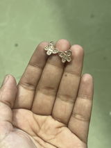 Lavanya review photo