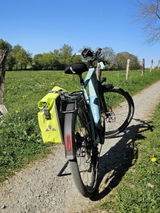 Dieter S. review photo
