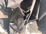 H review photo