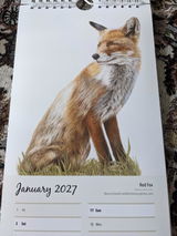 Dawnwitney review photo