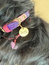 Branka Z. review photo