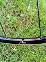 milan škorec review photo