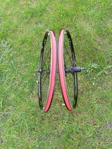 milan škorec review photo
