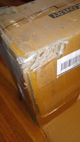 Pablo Rivera review photo