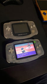 Beeeees review photo