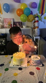 Sam Chow review photo