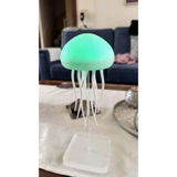 Chloe R. review photo