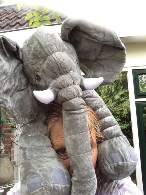 $ Baby Elephant Plush Pillow $