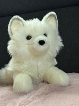 Elly R. review photo