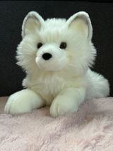 Elly R. review photo