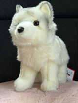 Elly R. review photo