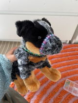 Zoey review photo