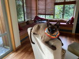 Jeannie Preddey review photo