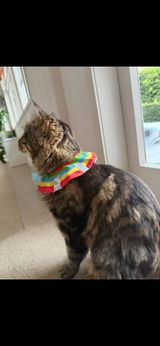 Rosie review photo