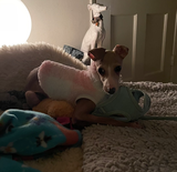 Sheryl and delila review photo