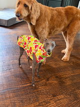 Daisy review photo