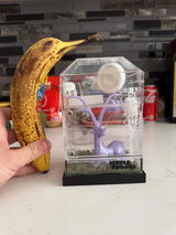 Q review photo