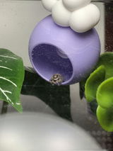 Amarilys C. review photo