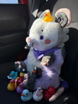 CJ review photo
