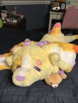 Randy review photo