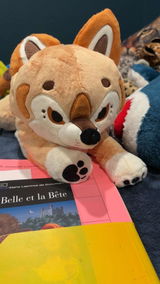 Anonymous review photo