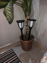 Gaurav Bhatiya review photo
