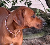 Josje Verlinde review photo