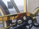 RASTA CRUISER review photo