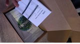Linas review photo