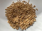 Regenerative Soft White Wheat Berries