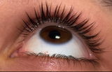 Sabinestrautina review photo