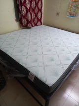 GOVARDHAN SINGH BISHT review photo