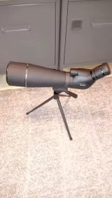 Lehmann review photo