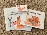 Ally review photo