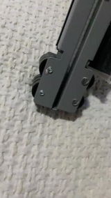 Joca C. review photo