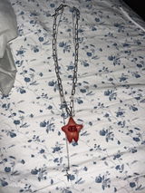Dev F review photo