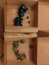 Katharina K. review photo
