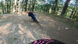 Dave d. review photo
