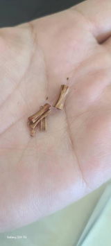 Cleta review photo
